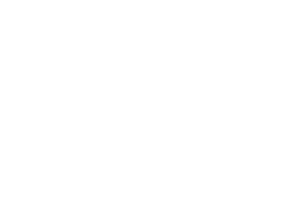 WellingtonSquareLogo_wht